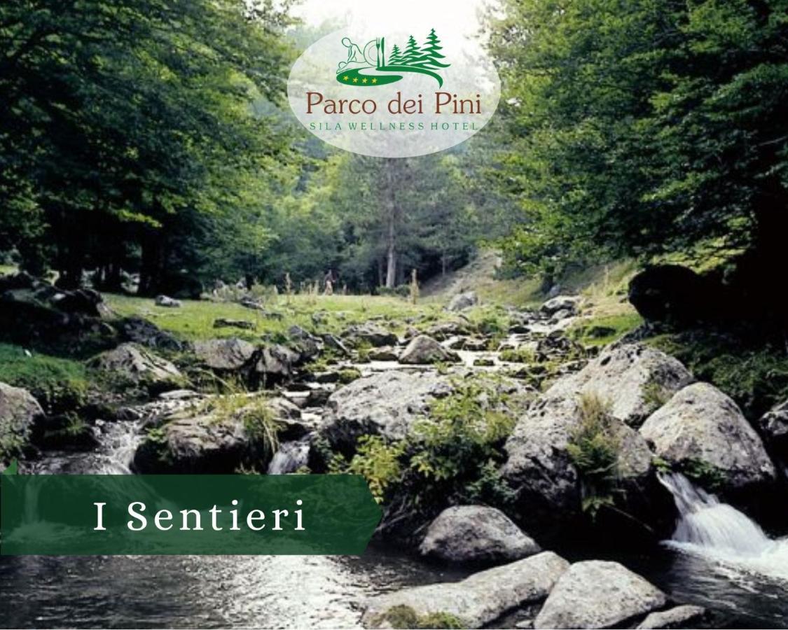 Parco Dei Pini - Sila Wellness Hotel Taverna  Extérieur photo